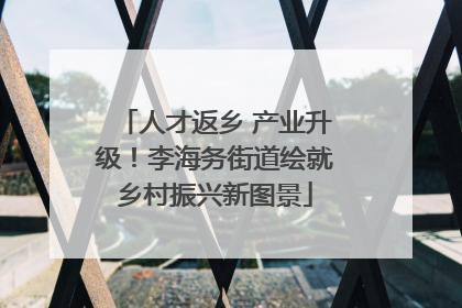 人才返乡 产业升级！李海务街道绘就乡村振兴新图景