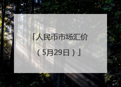 人民币市场汇价（5月29日）