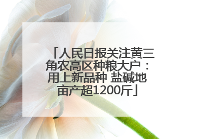 人民日报关注黄三角农高区种粮大户：用上新品种 盐碱地亩产超1200斤