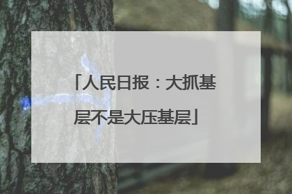 人民日报：大抓基层不是大压基层