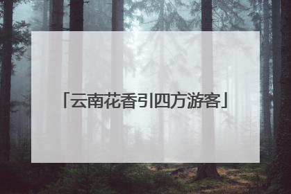 云南花香引四方游客