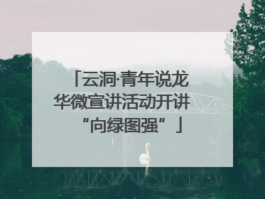 云洞·青年说龙华微宣讲活动开讲“向绿图强”