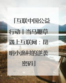 互联中国公益行动丨当马鞭草遇上互联网：昆明小渔村的逆袭密码