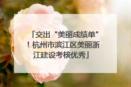 交出“美丽成绩单”！杭州市滨江区美丽浙江建设考核优秀