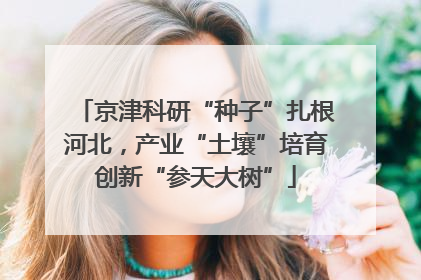 京津科研“种子”扎根河北，产业“土壤”培育创新“参天大树”