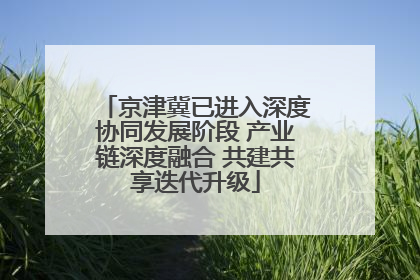 京津冀已进入深度协同发展阶段 产业链深度融合 共建共享迭代升级