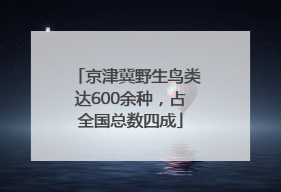 京津冀野生鸟类达600余种，占全国总数四成