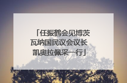 任振鹤会见博茨瓦纳国民议会议长凯奥拉佩采一行