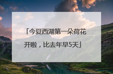 今夏西湖第一朵荷花开啦，比去年早5天