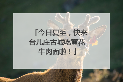 今日夏至，快来台儿庄古城吃黄花牛肉面啦！