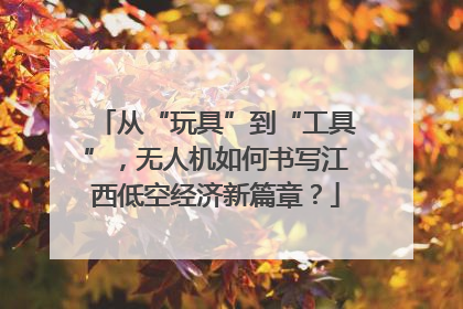 从“玩具”到“工具”，无人机如何书写江西低空经济新篇章？