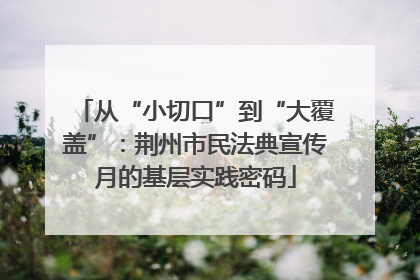 从“小切口”到“大覆盖”：荆州市民法典宣传月的基层实践密码