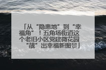 从“隐患地”到“幸福角”！五角场街道这个老旧小区党建微花园“靓”出幸福新图景