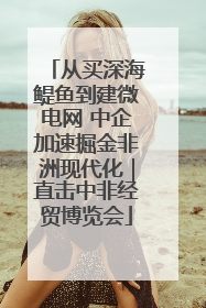 从买深海鳀鱼到建微电网 中企加速掘金非洲现代化｜直击中非经贸博览会