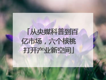 从央媒科普到百亿市场，六个核桃打开产业新空间