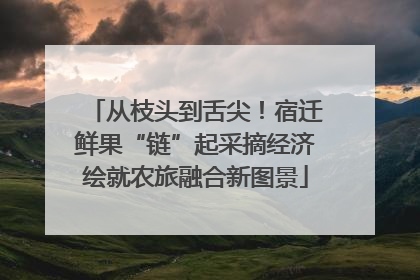 从枝头到舌尖！宿迁鲜果“链”起采摘经济绘就农旅融合新图景