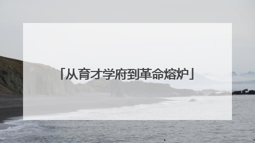 从育才学府到革命熔炉