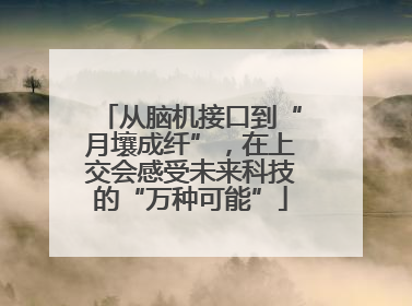 从脑机接口到“月壤成纤”，在上交会感受未来科技的“万种可能”