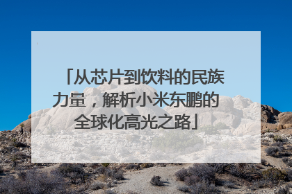 从芯片到饮料的民族力量，解析小米东鹏的全球化高光之路