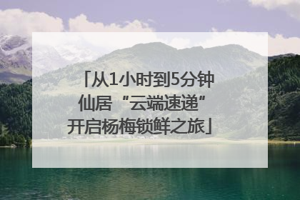 从1小时到5分钟 仙居“云端速递”开启杨梅锁鲜之旅