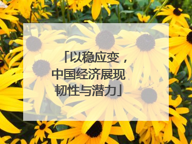以稳应变，中国经济展现韧性与潜力