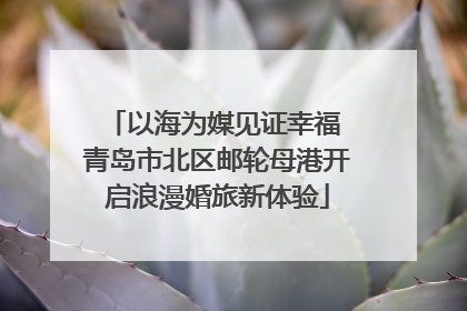 以海为媒见证幸福 青岛市北区邮轮母港开启浪漫婚旅新体验