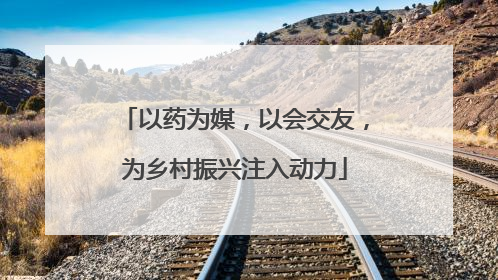 以药为媒，以会交友，为乡村振兴注入动力