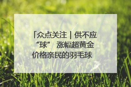 众点关注｜供不应“球” 涨幅超黄金 价格亲民的羽毛球为何身价飞涨？