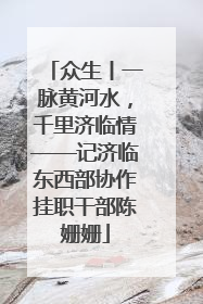 众生丨一脉黄河水，千里济临情——记济临东西部协作挂职干部陈姗姗