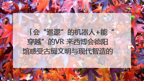 会“巡逻”的机器人+能“穿越”的VR 来西博会德阳馆感受古蜀文明与现代智造的时空对话｜西博视界