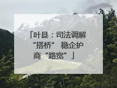 叶县：司法调解“搭桥” 稳企护商“路宽”