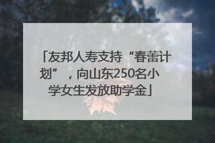友邦人寿支持“春蕾计划”，向山东250名小学女生发放助学金