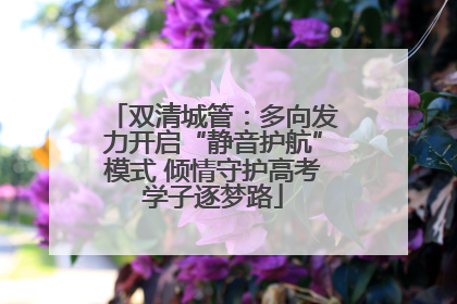 双清城管：多向发力开启“静音护航”模式 倾情守护高考学子逐梦路