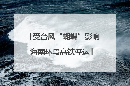 受台风“蝴蝶”影响 海南环岛高铁停运