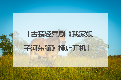 古装轻喜剧《我家娘子河东狮》横店开机