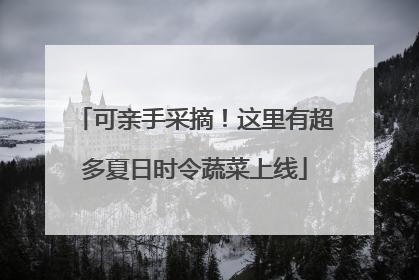 可亲手采摘！这里有超多夏日时令蔬菜上线