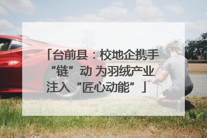 台前县：校地企携手“链”动 为羽绒产业注入“匠心动能”