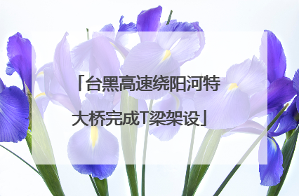 台黑高速绕阳河特大桥完成T梁架设