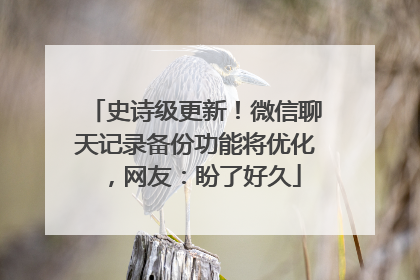 史诗级更新！微信聊天记录备份功能将优化，网友：盼了好久