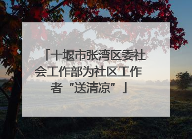 十堰市张湾区委社会工作部为社区工作者“送清凉”
