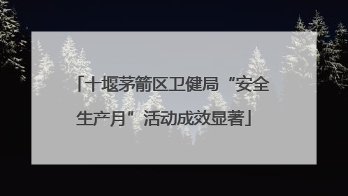 十堰茅箭区卫健局“安全生产月”活动成效显著