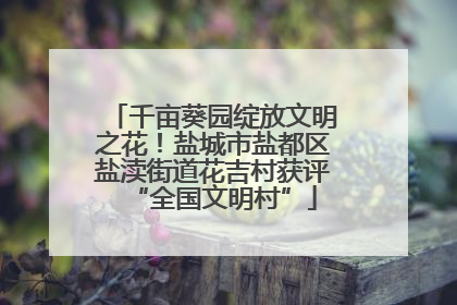 千亩葵园绽放文明之花！盐城市盐都区盐渎街道花吉村获评“全国文明村”