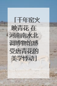 千年窑火映青花 在河南南水北调博物馆感受唐青花的美学悸动