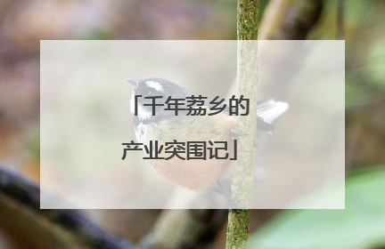 千年荔乡的产业突围记