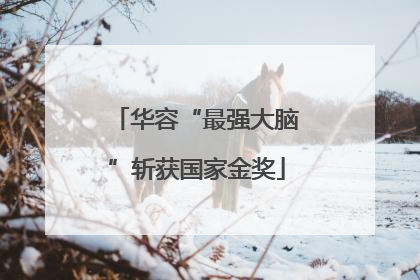 华容“最强大脑”斩获国家金奖