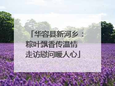 华容县新河乡：粽叶飘香传温情 走访慰问暖人心