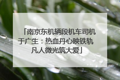 南京东机辆段机车司机于广生：热血丹心映铁轨 凡人微光筑大爱