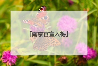 南京官宣入梅