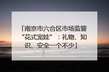 南京市六合区市场监管“花式宠娃”：礼物、知识、安全一个不少