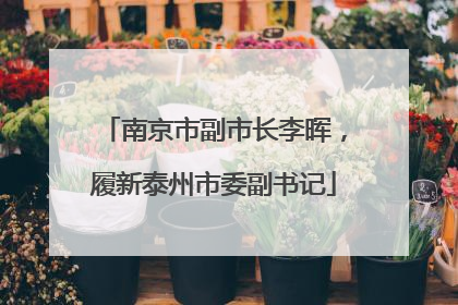 南京市副市长李晖，履新泰州市委副书记